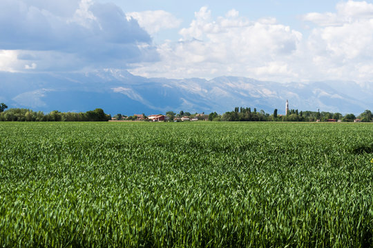 Panormaic view of the cultivated land of Friuli - Italy