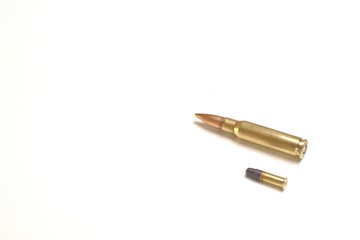 Two bullets, one small and one large. The one below is a .22 soft hollow point, the one above a 7.62 x 51mm NATO.