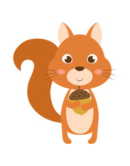 squirrel isolated on white