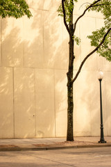 Tree, Lamppost and Beige Stone Wall.