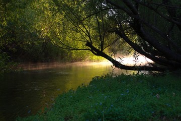 Mist floating above a calm creek, glowing on the first lights of dawn, in Argentinian Patagonia.
