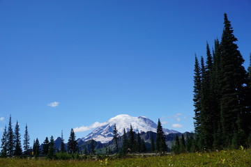 Rainier