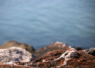Sea and rocks 
