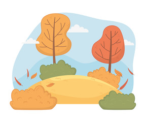 forest autumn season landscape scene