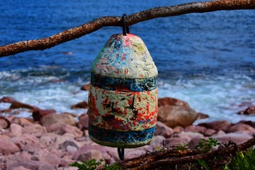 Buoy hanging on a tree