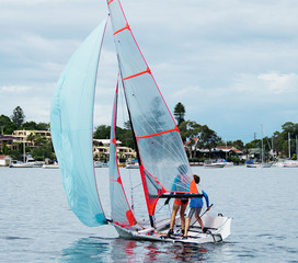 Two young boys sailing a 29er class dinghy with a clear mylar ma