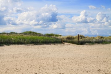 Fototapeta na wymiar Sandy beach with blue sky and clouds