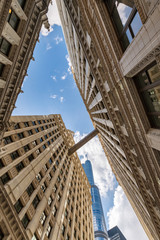Fototapeta na wymiar Skyscrapers of Chicago city