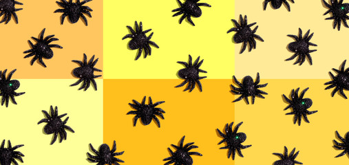 Halloween black spiders - overhead view flat lay