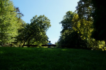 Fototapeta na wymiar Mann auf sitzbank im park sommer