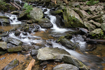 Fototapeta na wymiar Fresh Mountain Waters Flowing Through Rocks
