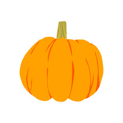 Pumpkin isolated on white background, Pumpkin Vector illustration.