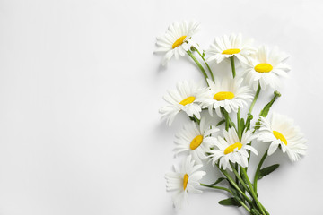 Bouquet of beautiful chamomile flowers on white background, top view