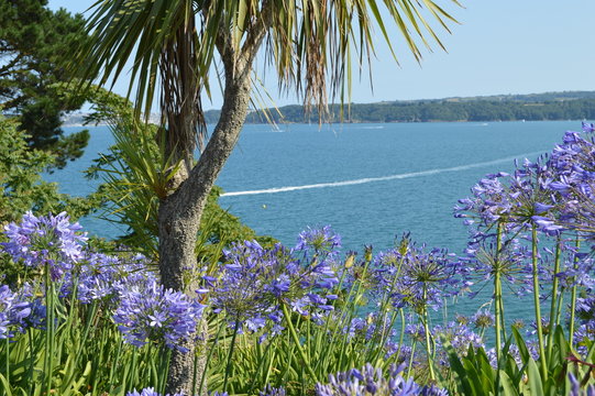 Views from coastal path from Paignton to Goodrington, Torbay, Devon