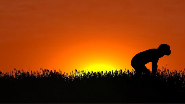 Ape walking against a sunset sky.mov