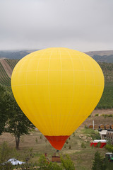 Yellow Hot air balloon over the green forest trees