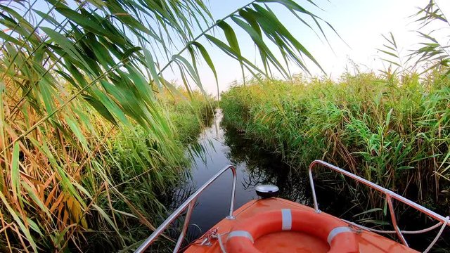 Boat Ride on Danube Delta, Ciotica Chanel