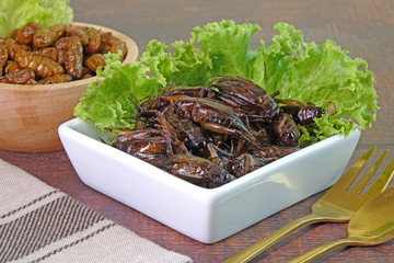 Edible insects : Deep fried crispy Silkworm pupae and cricket.  Entomophagy : Edible insects, other natural sources of nutrients. Famous street food in Thailand. Selective focus.