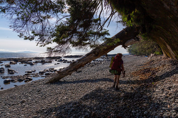 Adventurous girl hiking Juan de Fuca Trail to Chin Beach on the Pacific Ocean Coast during a sunny summer day. Taken near Port Renfrew, Vancouver Island, BC, Canada.