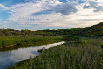 Peaceful stream in the countryside