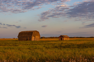 Old abandoned barn in the Saskatchewan prairies at sunset