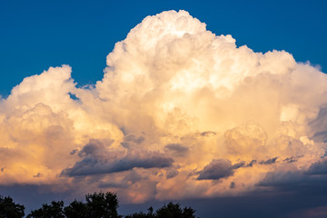 Storm clouds over holm oaks fields