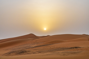 Rub' al Khali desert in Liwa, Al Dhafra, Abu Dhabi, United Arab Emirates at sunrise. © Hamdan Yoshida