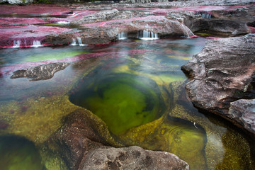 Caño cristales, Colombia