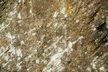 Macro Close Up of a Large Cut Boulder as a Background Texture