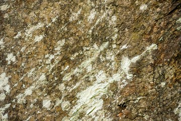 Macro Close Up of a Large Cut Boulder as a Background Texture