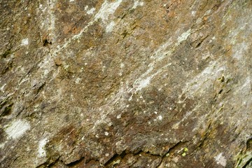 Macro Close Up of a Large Cut Boulder as a Background Texture