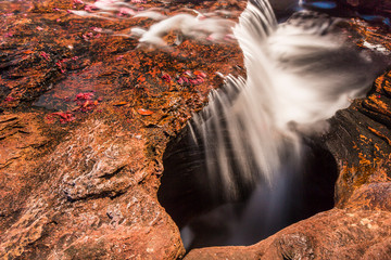 Ca&ntilde;o cristales, Colombia