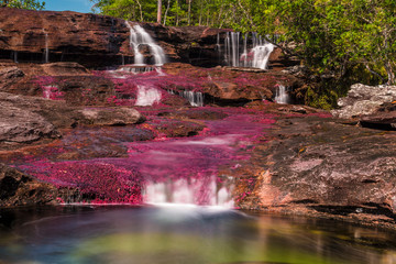 Caño cristales, Colombia