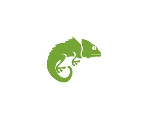 Lizard chameleon logo or icon template vector design