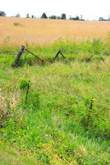 Obraz premium Country Living - living with Nature