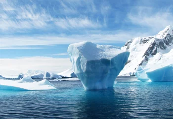 Gordijnen ijsberg in antarctica © RobynM