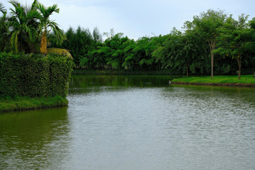A vast swamp on green background