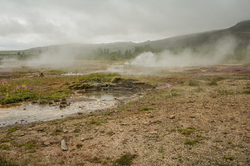 Geyser in Iceland