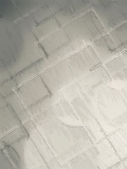 Black and white clean background. New surface looks rough. Wallpaper shape. Backdrop texture wall and have copy space for text.