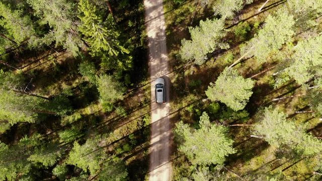 Drone shot from above following car in forrest