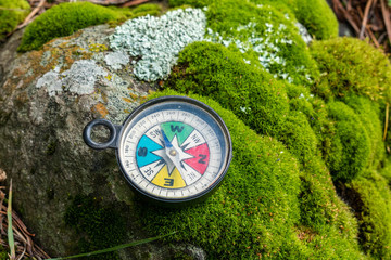 Colorful compass on a stone with moss and lichen at the forest