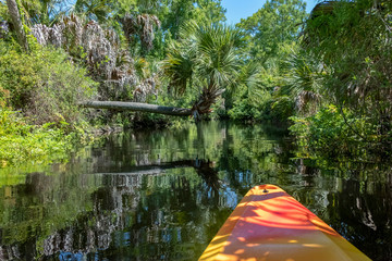 Kayaking on Juniper Springs Creek, Florida	