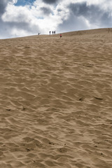 sand dunes on the beach