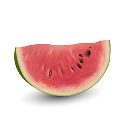 Fototapeta na wymiar Fresh watermelon slices vector illustration isolated on white.