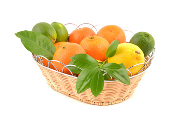 A group of fresh citrus fruits - tangerines, lemons, limes, oranges, with green leaves, un basket,...