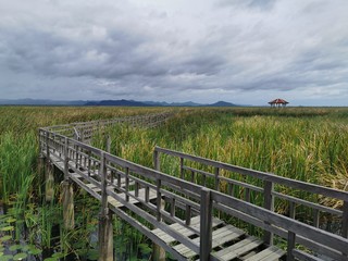Fototapeta premium wooden bridge over the river