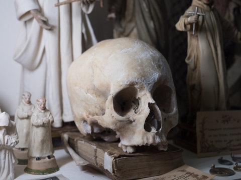 Calavera sobre un viejo libro