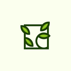 Leaf Line Square Nature Icon Logo Element Design Template Vector