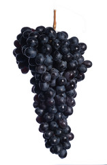 bunch of ripe black grapes on a white background