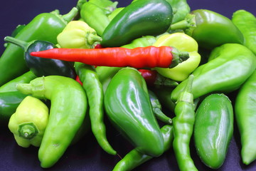 Not Chllli Peppers